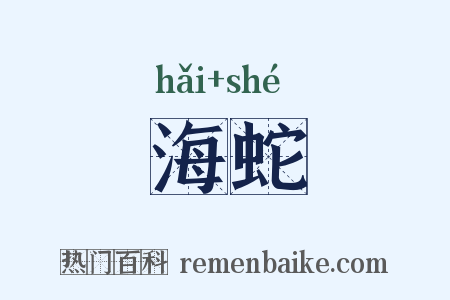 海蛇是什么意思的图片